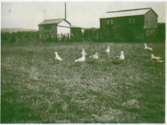 a bygone era of local beach homes, picture 7 of 37