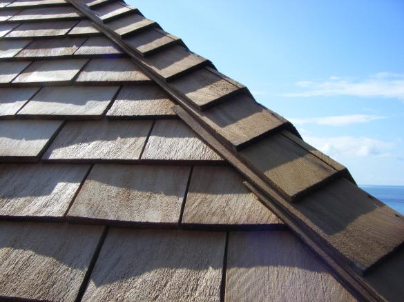 cedar shingle roofing, picture 4 of 24
