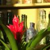 inspiration, picture 15 of 23