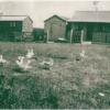 a bygone era of local beach homes, picture 17 of 37