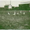 a bygone era of local beach homes, picture 7 of 37