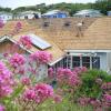 cedar shingle roofing, picture 19 of 24